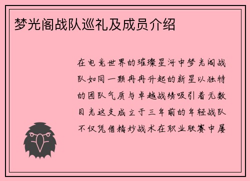 梦光阁战队巡礼及成员介绍